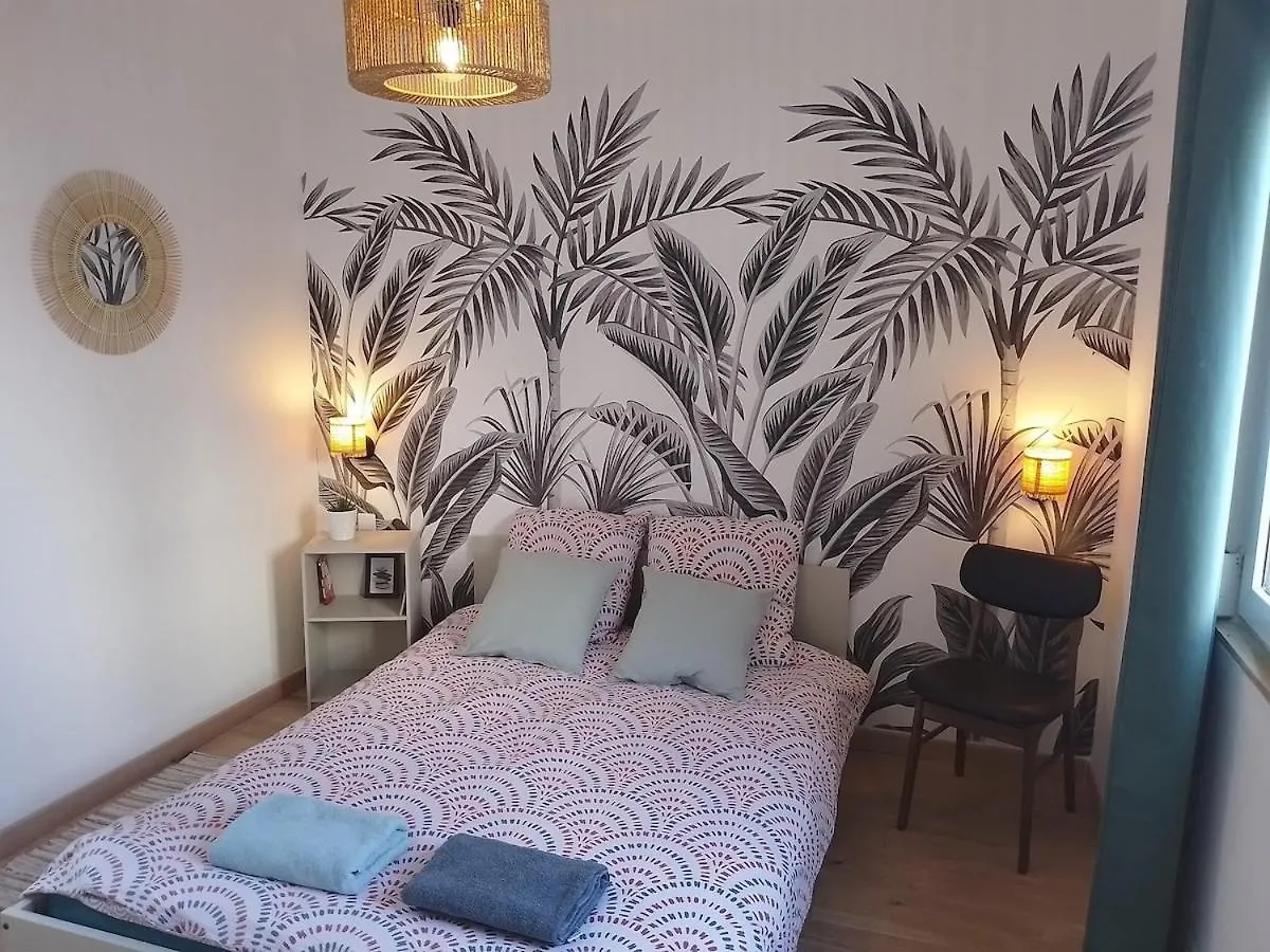 Superbe Appartement Renove A 250M Des Remparts Avignon France