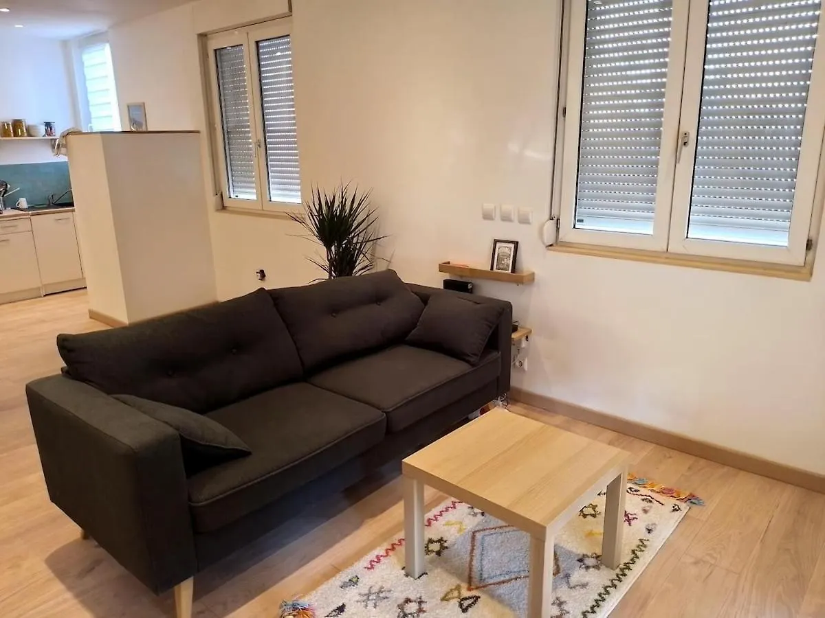 Superbe Appartement Renove A 250M Des Remparts Avignon